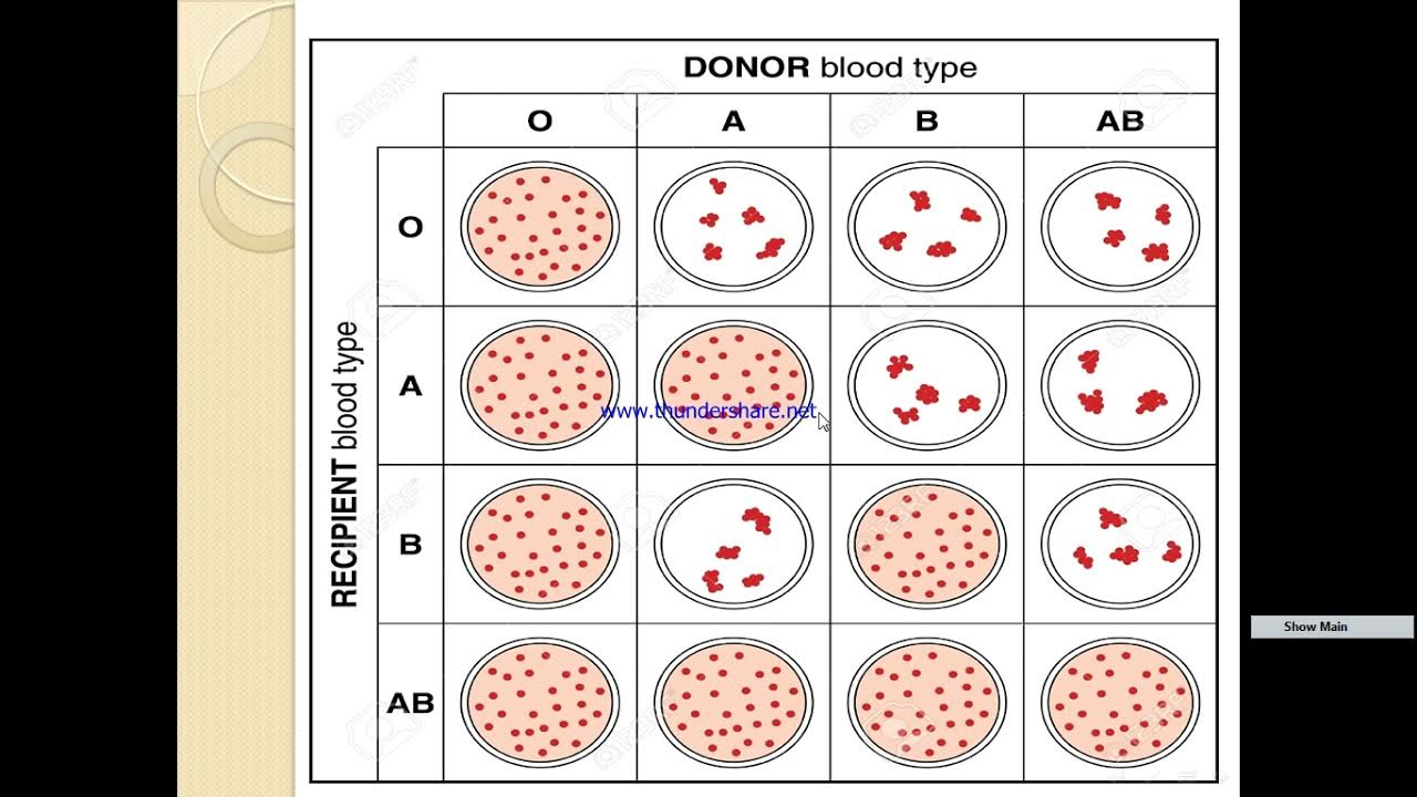 Cross match and Safe blood YouTube