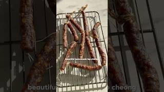 Homemade lap cheong / preserved Chinese sausage