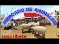 MERCADO DE ANIMALES ( rancho las tablas ) vacas, caballos,conejos,gallos, borregos,etc.