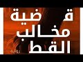 قضية مخالب القط من سلسلة تحقيقات نوح الألفي الجزء الأول
