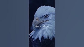 قـال_يا_أبـليــس_مـالك_ألا_تكـن_من_السـاجدين... تلاوه هادئه أكتب شيئ تؤجر عليه ❤😴