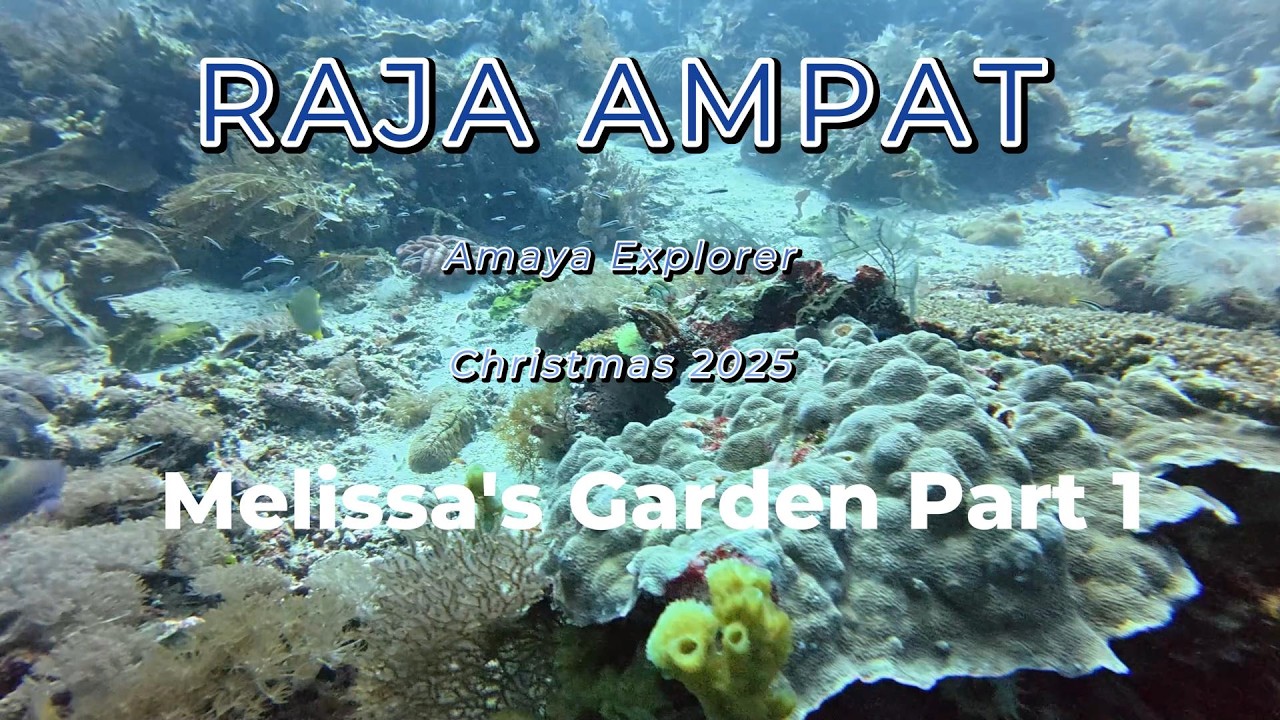 Raja Ampat Melissa's Garden Part 1 4K