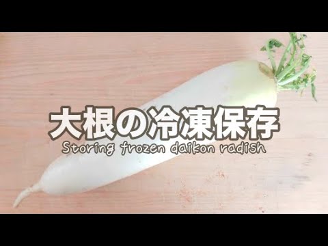 大根の冷凍保存 料理 Storing Frozen Daikon Radish Let S Cooking ジュエリーbox Youtube 大根の冷凍保存 料理 Storing Frozen Daikon Radish Let S Cooking ジュエリーbox Youtube