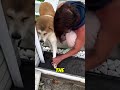 #marriageproposals