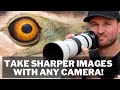 Take SHARPER Images with ANY camera! No More BLURRY Photos! Tips for Success