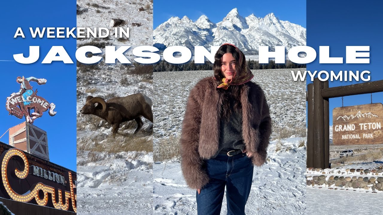 JACKSON HOLE VLOG | THE TETONS, WILDLIFE + LOTS OF COFFEE