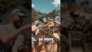 Η ήρεμη δύναμη 🦒