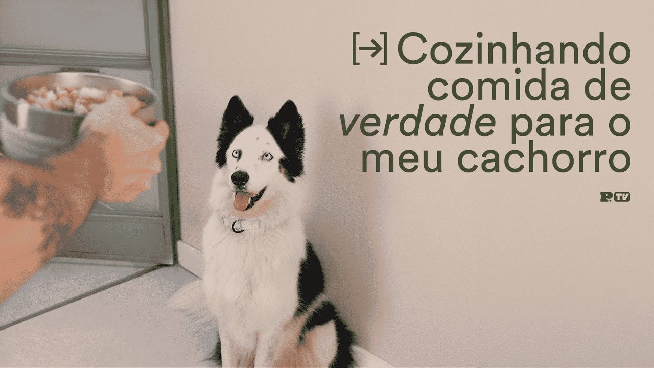 Mais sobre alimentação natural para cães com a Zee.Dog Kitchen | Petz TV Vlog