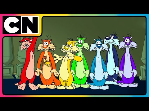 Looney Tunes  - Colourful Sylvester Chase Tweety Bird | Cartoon Network Show