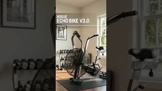 Rogue Fitness Echo Bike V3.0