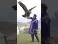 Kazakh eagle hunters in Mongolia #shorts