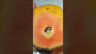 AMAZING PAPAYA FRUITS😲 #asmr #picking #peeling #opening #seedless #papaya #fruit #satisfying #shorts