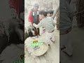 kids play village