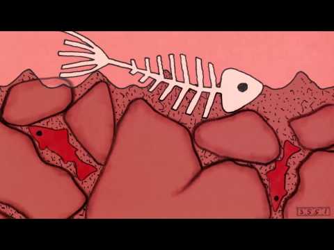 Ranker Video