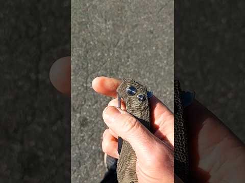Walk n Flick: TwoSun TS399
