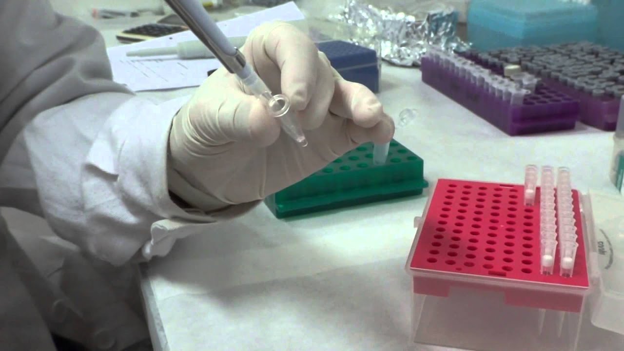 Análisis de ADN completo empleando muestras forenses complejas