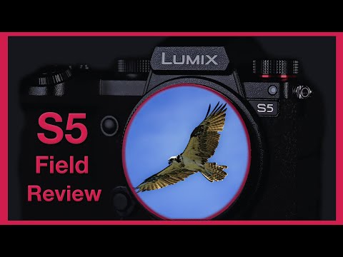 Best Hybrid Full Frame? Panasonic S5 Field Review
