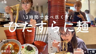 【はしご麺】弾丸1人旅！麺爆食！盛岡三大麺を食べ尽くせ〜！