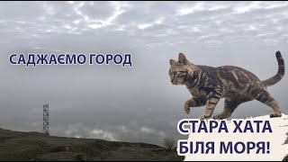 7. Душа жадає моря, а ноги йдуть на город