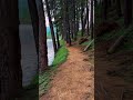 Stunning walk by Sembuwaththa Lake 🌿🌊 #Travel #Nature #Wanderlust #Adventure #Explore #Shorts