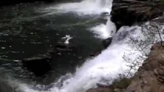 Falls at Little River by Tim Palmer 725 views 12 years ago 7 minutes, 38 seconds