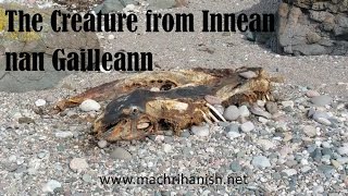 The Creature from Innean nan Gailleann