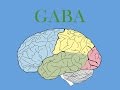 GABA