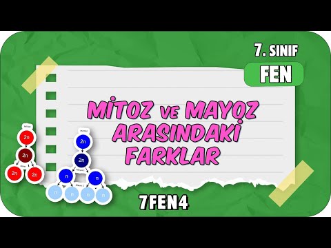 Mitoz ve Mayoz Arasındaki Farklar🦠 tonguçCUP 1.Sezon - 7FEN4 #2024