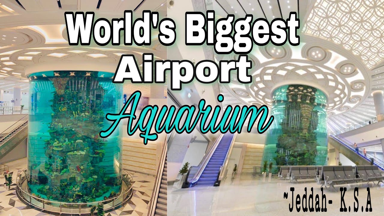 World S Biggest Airport Aquarium King Abdulaziz International Airport Jeddah K S A Youtube