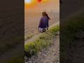 Zindagi🥹💔🤌🫵 #youtubeshorts #shortvideo #virlpost#songs