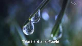 Tears are a Language God Understands - Heritage Singers chords