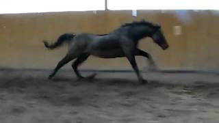 MVI_0422.AVI