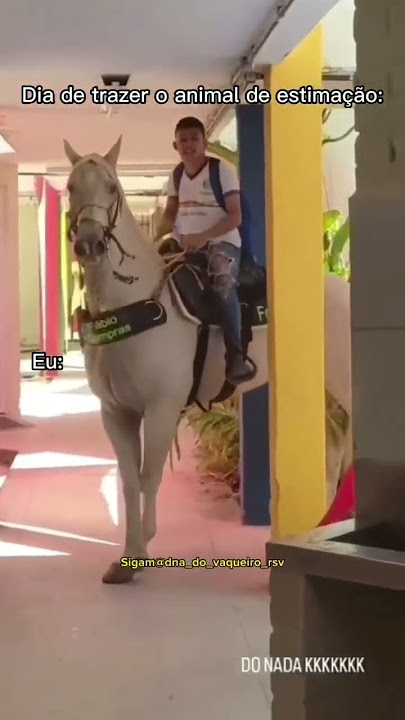 #cavalo #cavalo #freio #mangalarga #mangalarga_marchador #mangalargamarchador #marcha #rancho