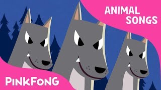 Night Animals Animal Songs Pinkfong Songs For Children