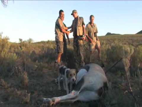 Video: Utforsk Sør-Afrika Western Cape På Terrengsykkel