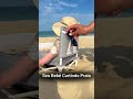 cadeirinha de bebe de praia