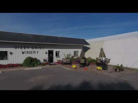 Dizzy Daisy Winery in Bad Axe Michigan