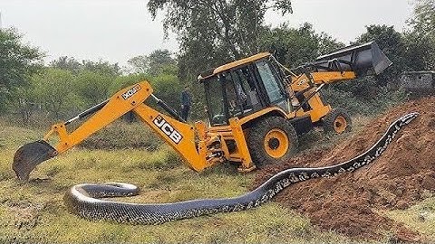 jcb 3dx backhoe loading mud in sonalika Di 42 & swaraj 735 fe | JCB 3dx vs snake 🐍 | #jcbvideo 