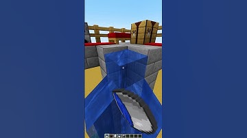 Minecraft Invisible Ladder 🤯 #minecraft #shorts