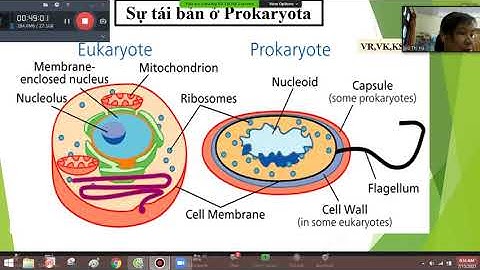 Trong các ý sau có mấy ý thể hiện sự khác nhau về cấu tạo giữa ADN và ARN