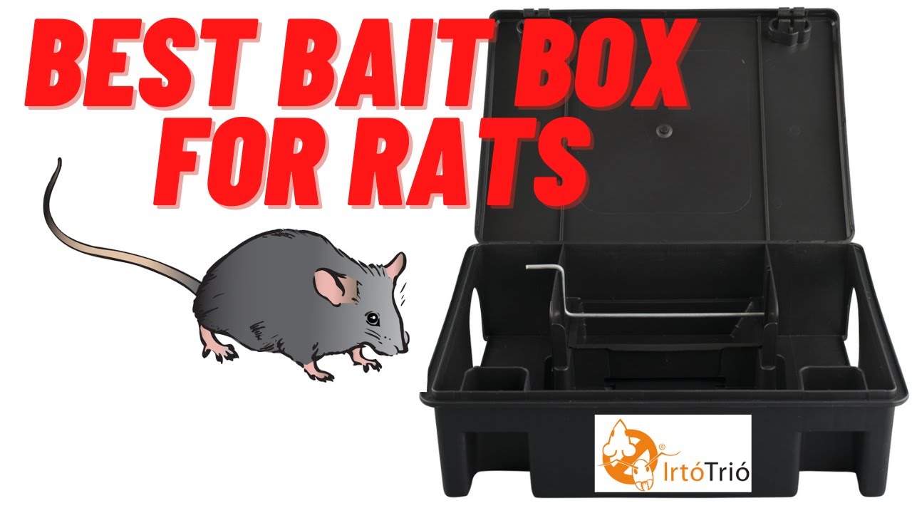 Best Bait Box For Rats - Professional Bait Station - Bait Box For