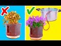 25 TRICKS FOR PLANT LOVERS