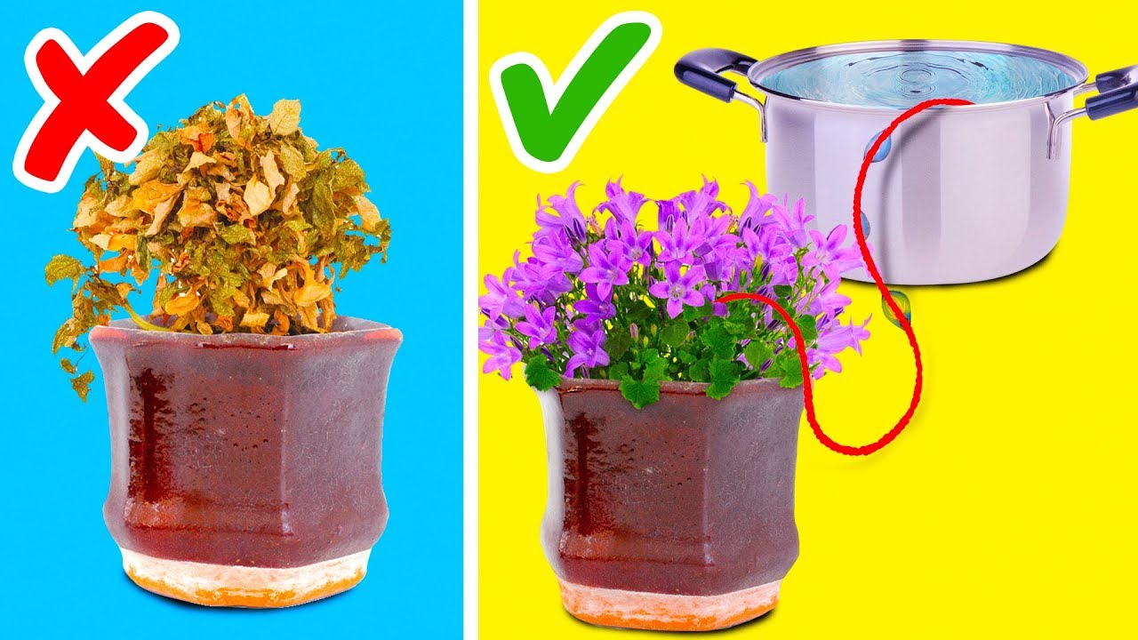 25 TRICKS FOR PLANT LOVERS