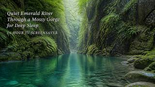 Quiet Emerald River Through a Mossy Gorge for Deep Sleep