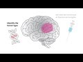 Genotype-targeted local therapy of glioma