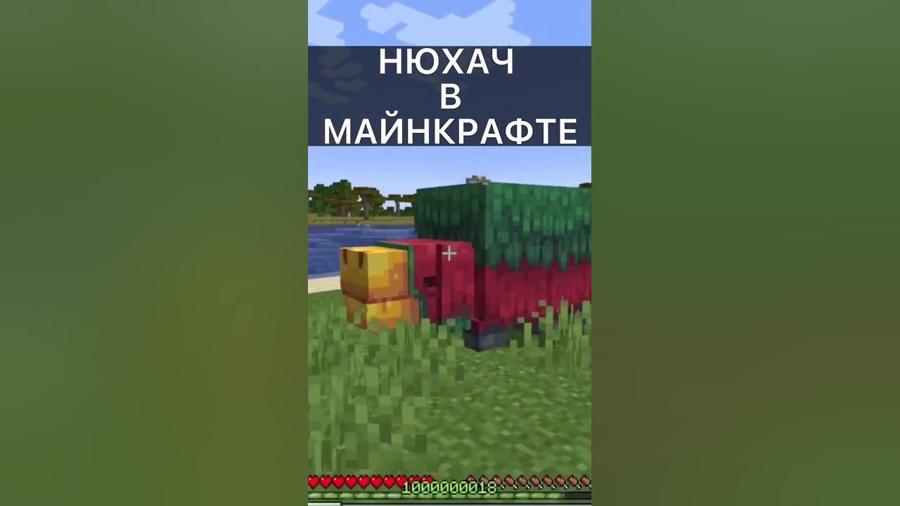Нюхач в Майнкрафте! Что он ест? #нюхач #майнкрафт #minecraft #sniffer ...
