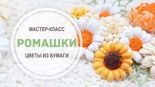 Мастер-класс Мастер-класс
