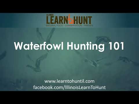 Waterfowl Hunting 101
