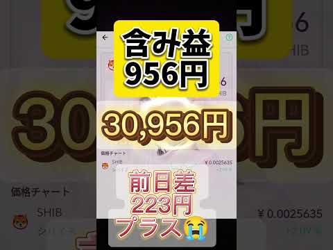 10月11日のシバイヌ #仮想通貨バブル #仮想通貨 #shibainu #暗号資産 #shibainucoin