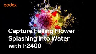 Godox: Capture Falling Flower Splashing into Water with P2400